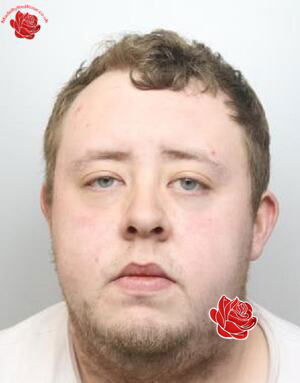 Profile image of Alex Gregory