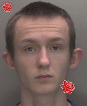 Profile image of Nathan Bossley