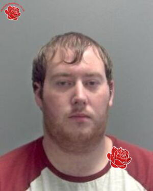 Profile image of Ashley Bingley