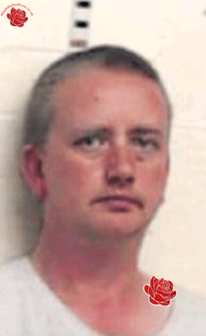 Profile image of Andrew Brannan