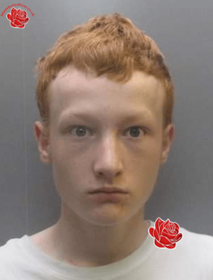 Profile image of Tyler Brown