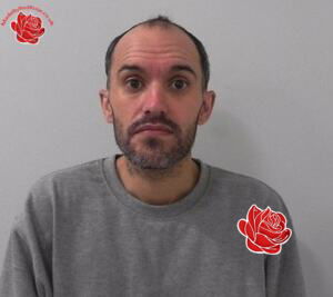 Profile image of Mark Wilson
