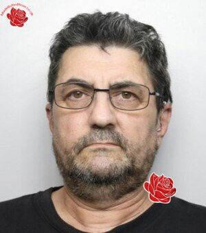 Profile image of Marian Burlan