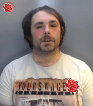 Profile image of Kristoffer Cook