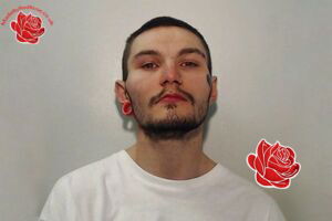 Profile image of Dante Ingham
