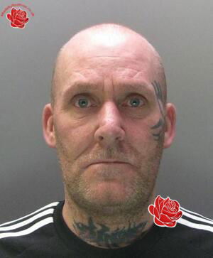 Profile image of Darren Wood