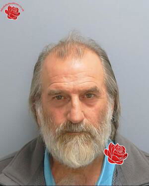 Profile image of Timothy Rolfe