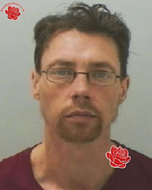 Profile image of Jamie Topham