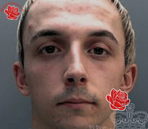 Profile image of Darcy Cole