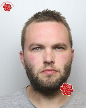 Profile image of Daniel Cater