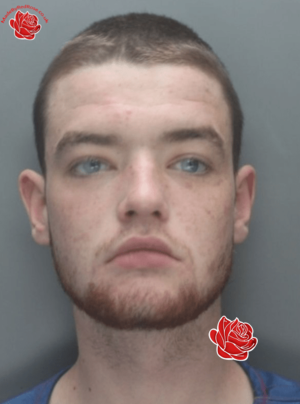 Profile image of Steven Lequesne