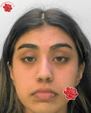 Profile image of Fatinah Hossain