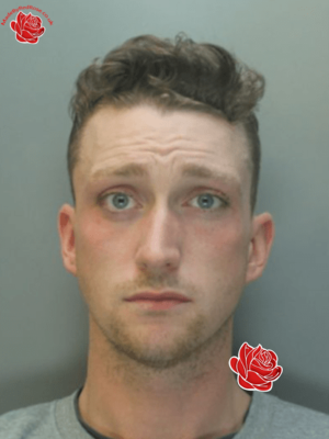 Profile image of Ryan Kitchen